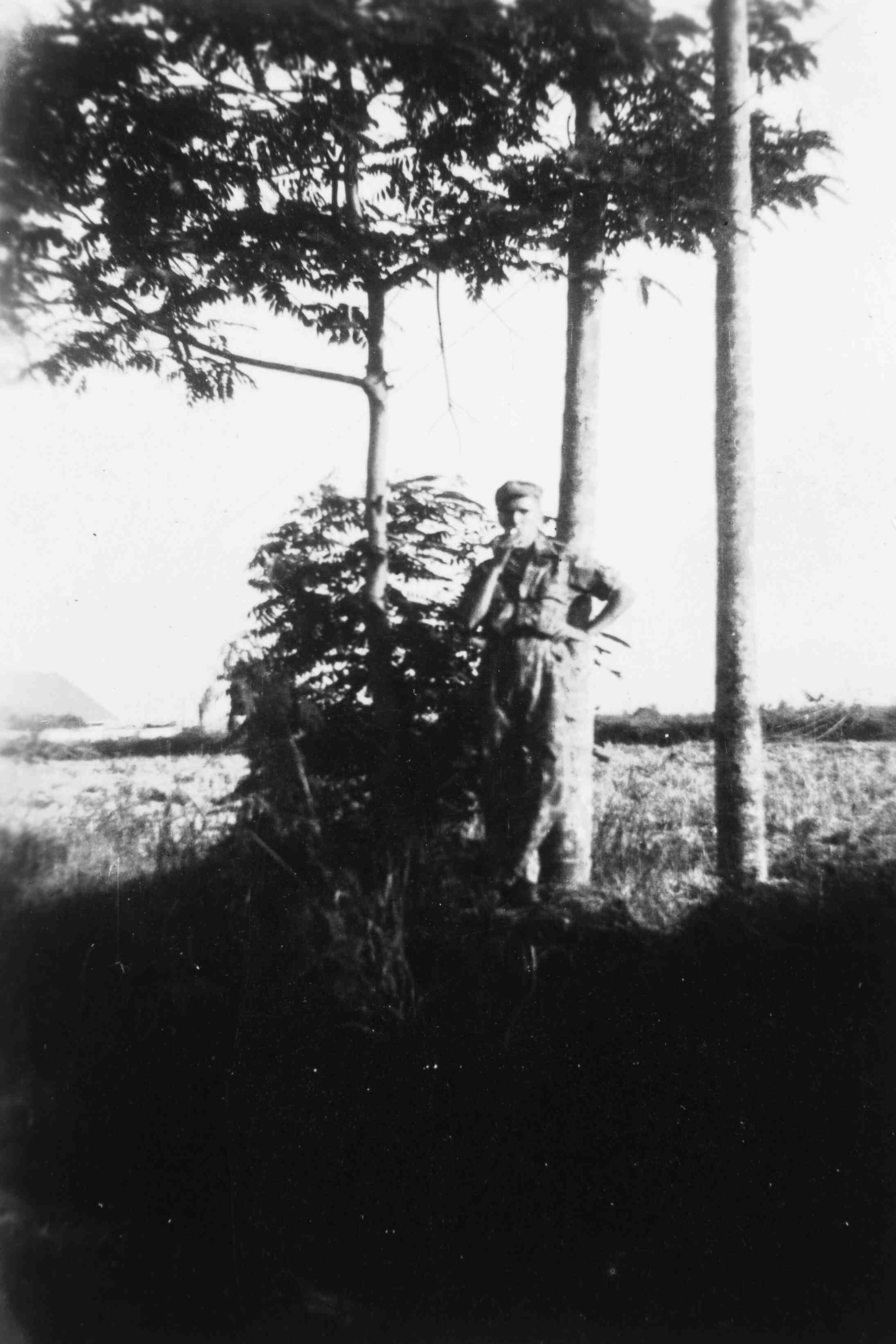 1946