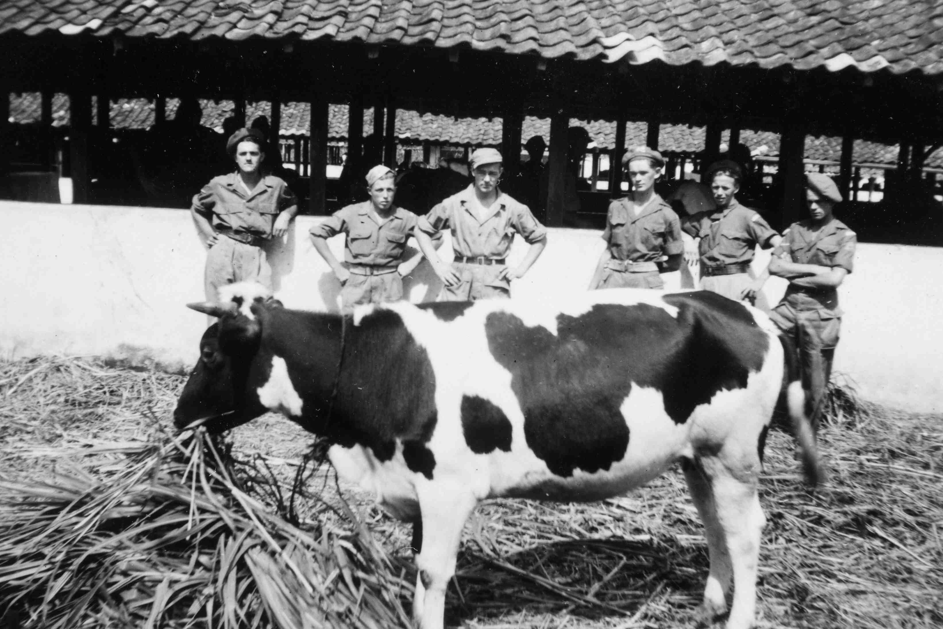 KNIL soldaten bij boerderij te Lembang, Java, 1946 of 1947