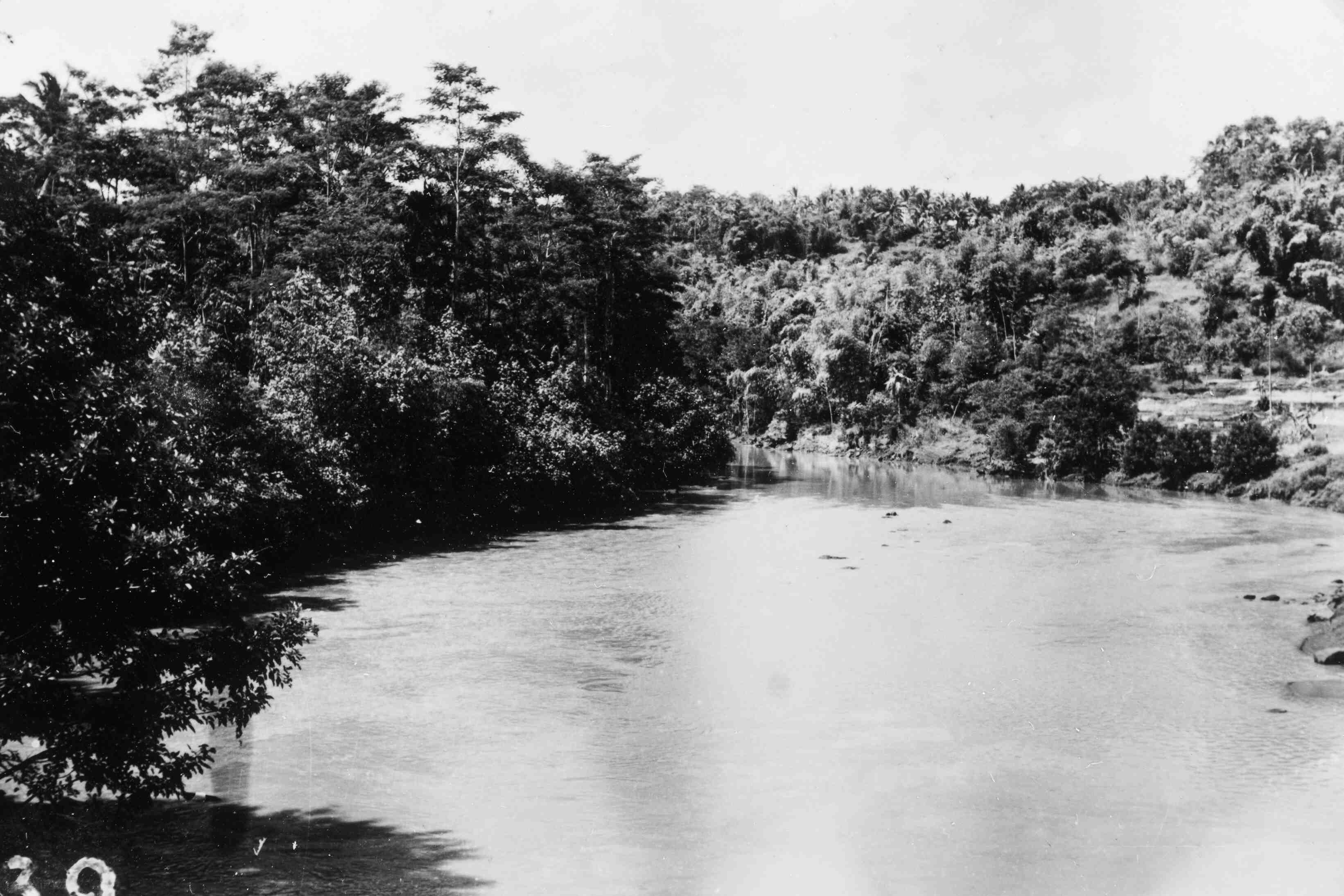Java, 1946 of 1947