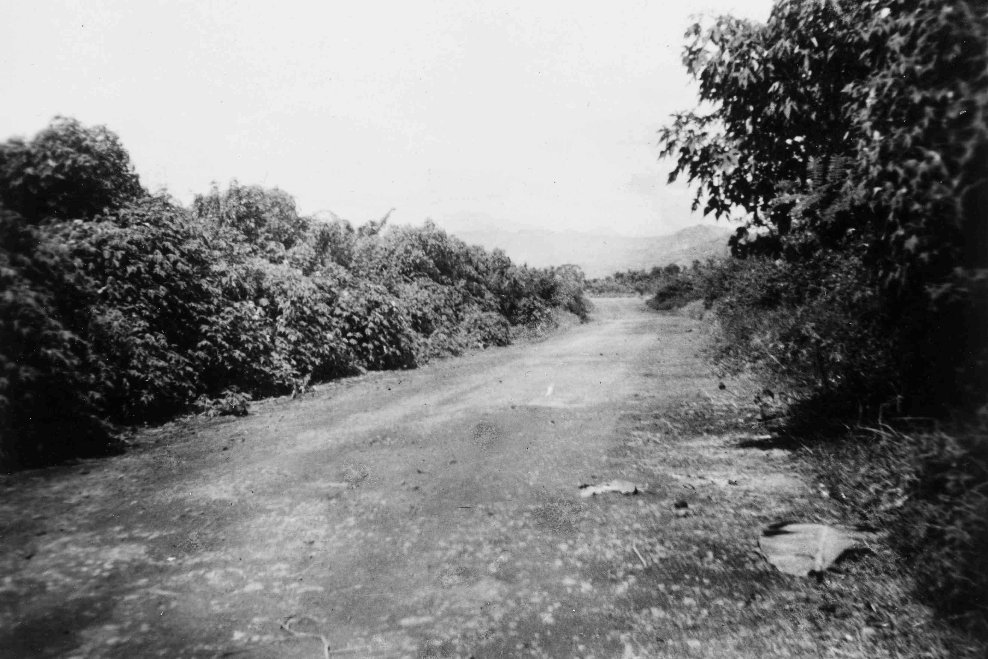 Java, 1946 of 1947