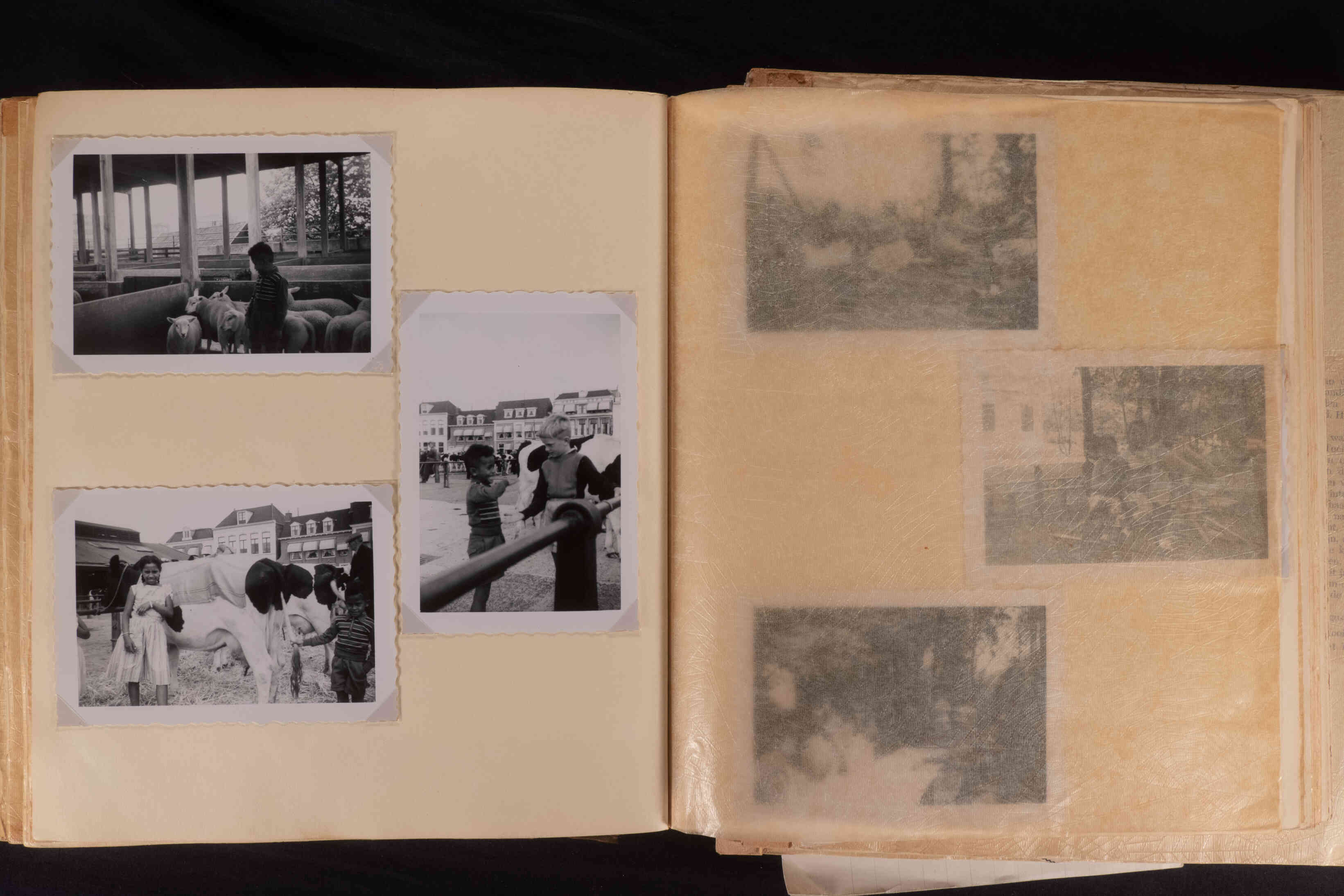 Oude fotos van weemarkt Leeuwarden